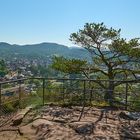 25.09.2021 kurz nach 10 Uhr auf dem Sängerfelsen in Dahn bei Gegenlicht und leicht dunstig war es...