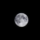 250mm Vollmond