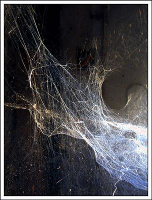 *25.10.1966 Ulrike Germeshausen † 22.1. 2007