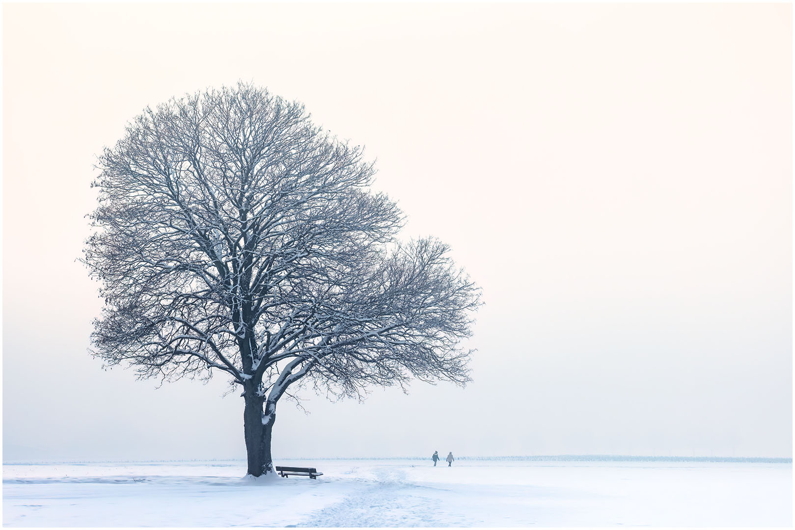 2/52 Winterspaziergang