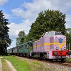 2530 der NS am 08.09.19 bei Terrug naar Toen in Beekbergen