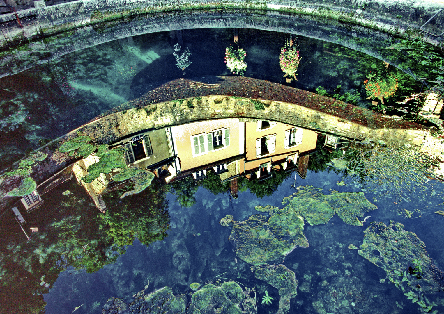 254    reflet dans lavoir de la fosse dionne à Tonnere