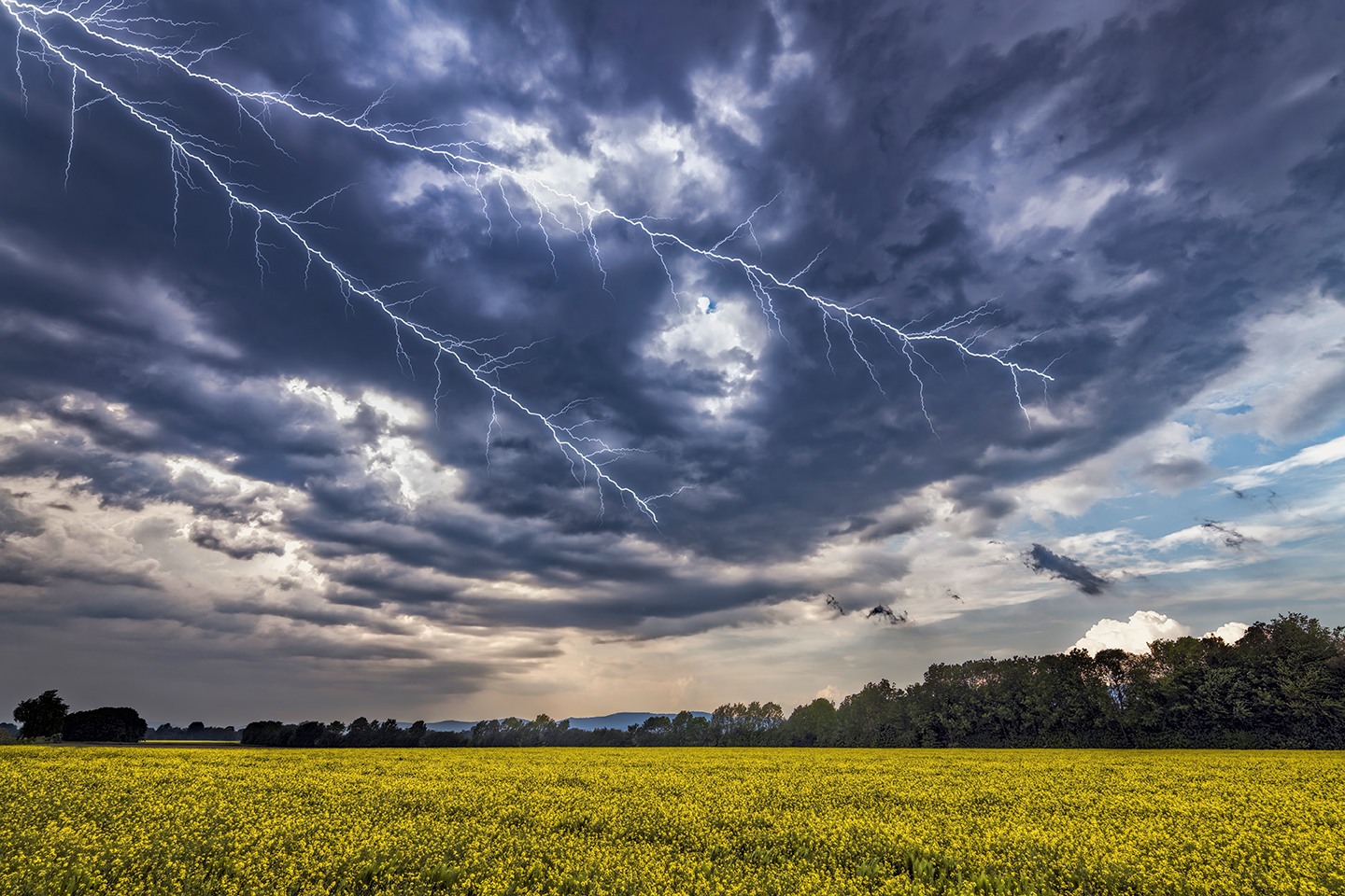 2546R Gewitterstimmung mit Rapsfeld Blitze