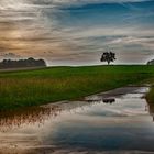 25/52 Der Regen war da