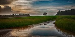 25/52 Der Regen war da