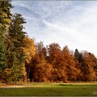 2553 Herbst - autumn 