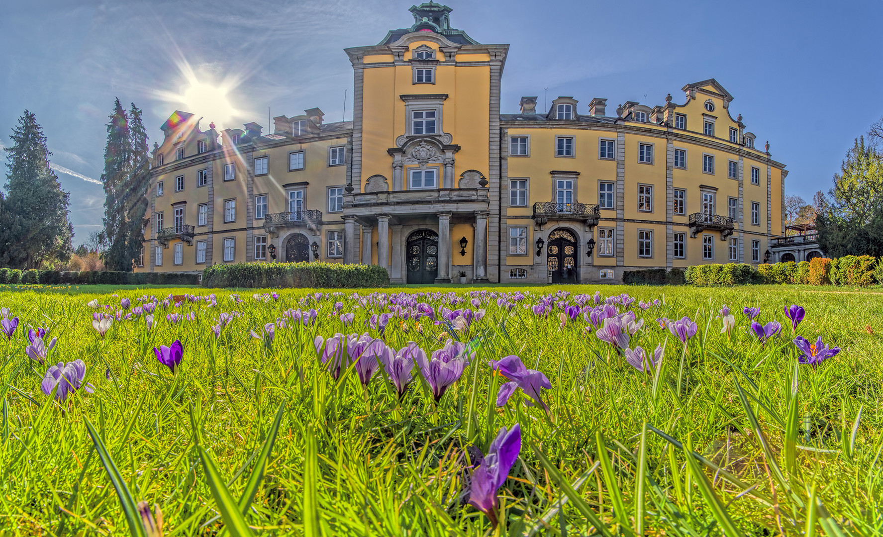 2570SC-71SC  Schloss Bückeburg Frühling Krokusse Panorama