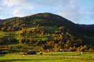 DE: Licht,Schatten und eine schöne Stimmung! by Kosche Günther 