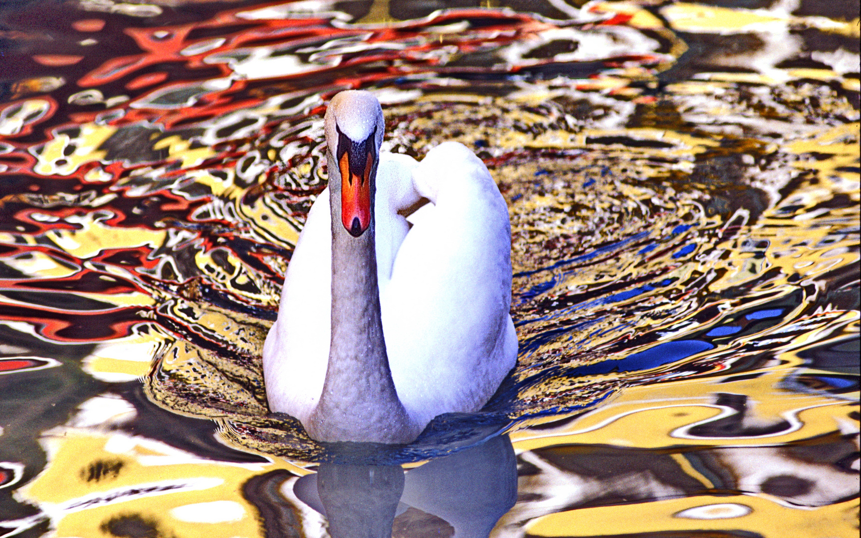 25....reflets à Annecy