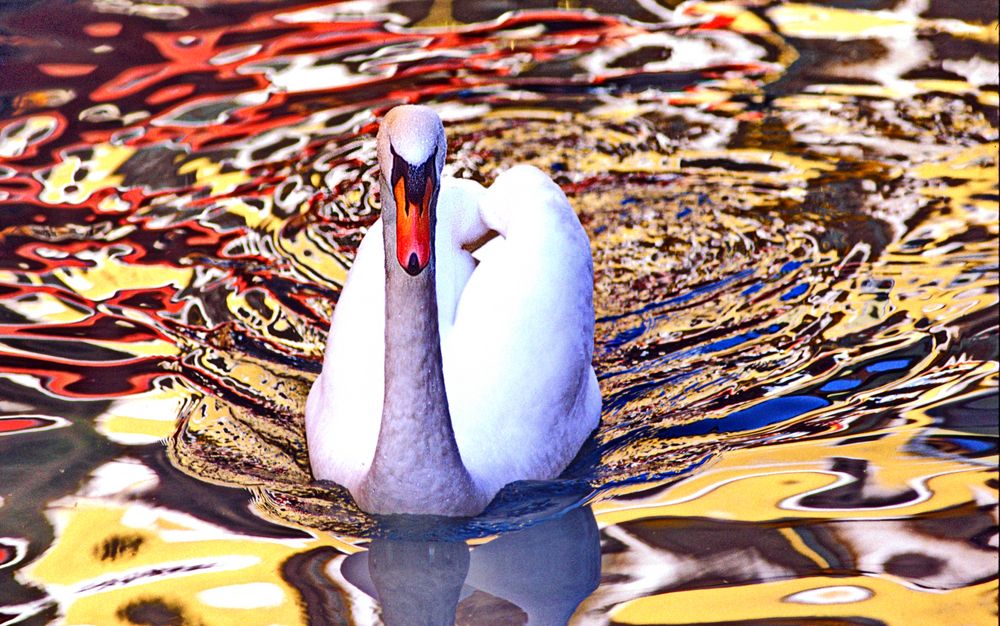 25....reflets à Annecy