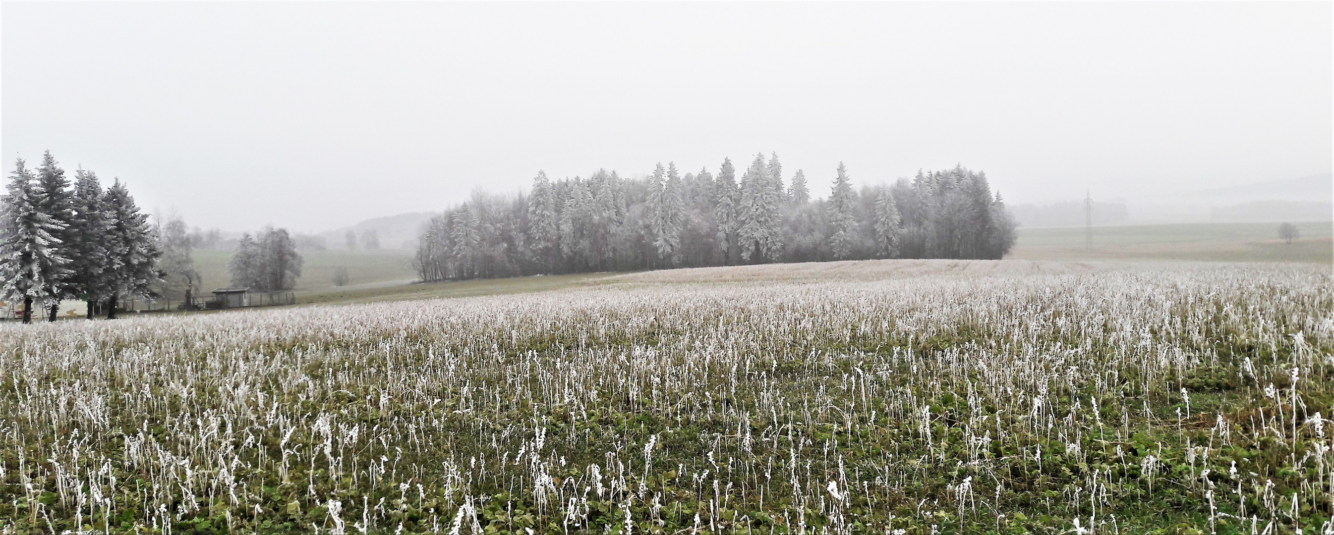 26.01.2020 " Reife" Leistung" allüberall im Fichtelgebirge