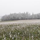 26.01.2020 " Reife" Leistung" allüberall im Fichtelgebirge