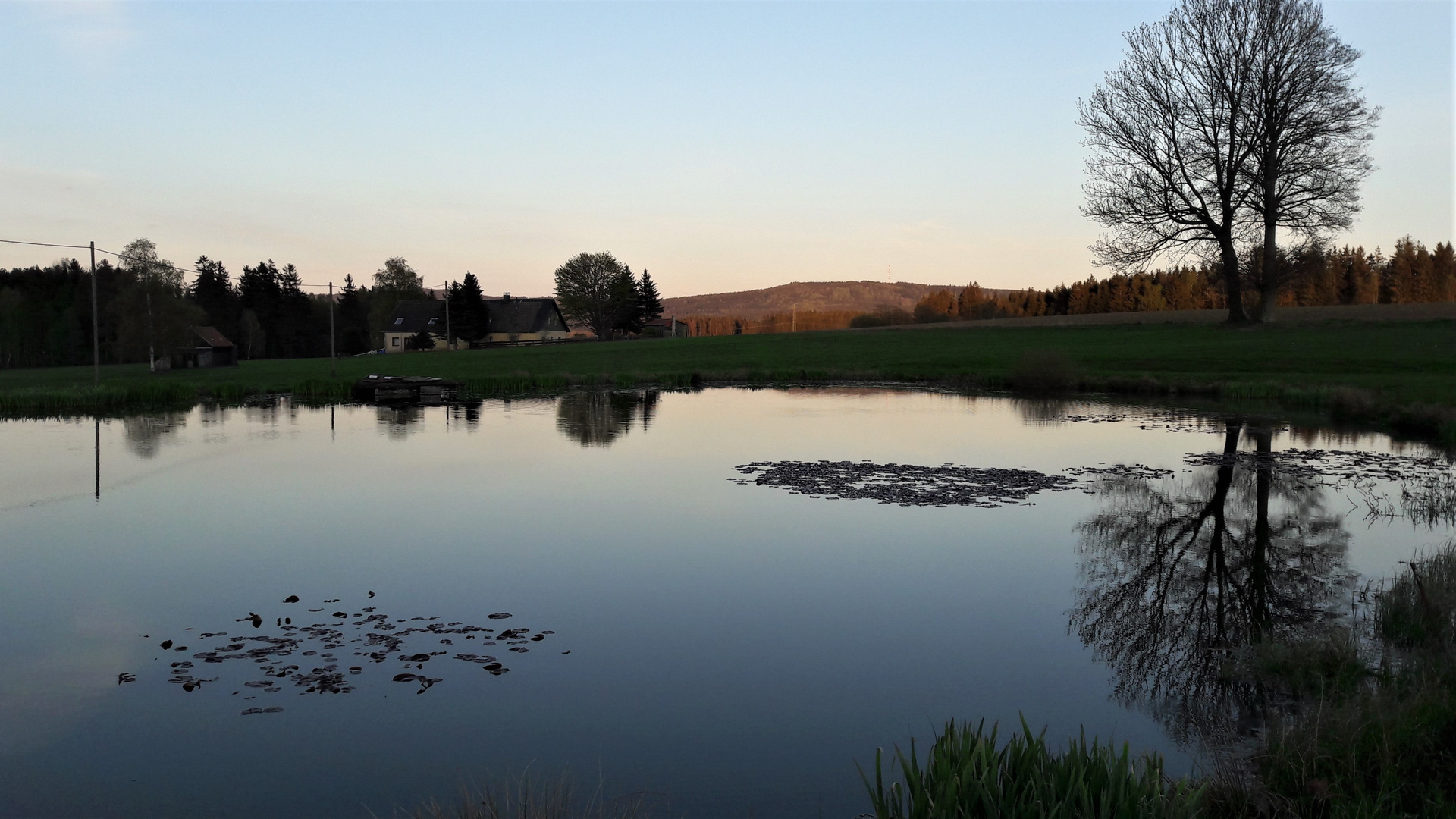 26.04.2020 Spiegeltag : Seerosenteich im Schatten / Fichelgebirge in der Sonne