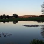 26.04.2020 Spiegeltag : Seerosenteich im Schatten / Fichelgebirge in der Sonne