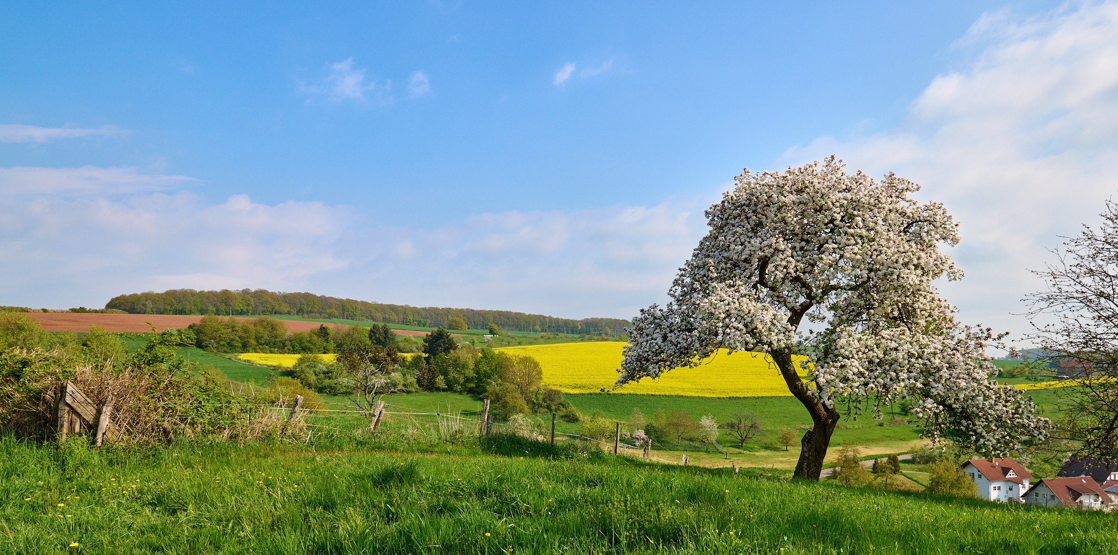 26.04.2022 Frühling in der Reuschbach, der Ort hat 348 Einwohner, hier ist Ruhe und Stille angesagt.