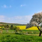 26.04.2022 Frühling in der Reuschbach, der Ort hat 348 Einwohner, hier ist Ruhe und Stille angesagt.