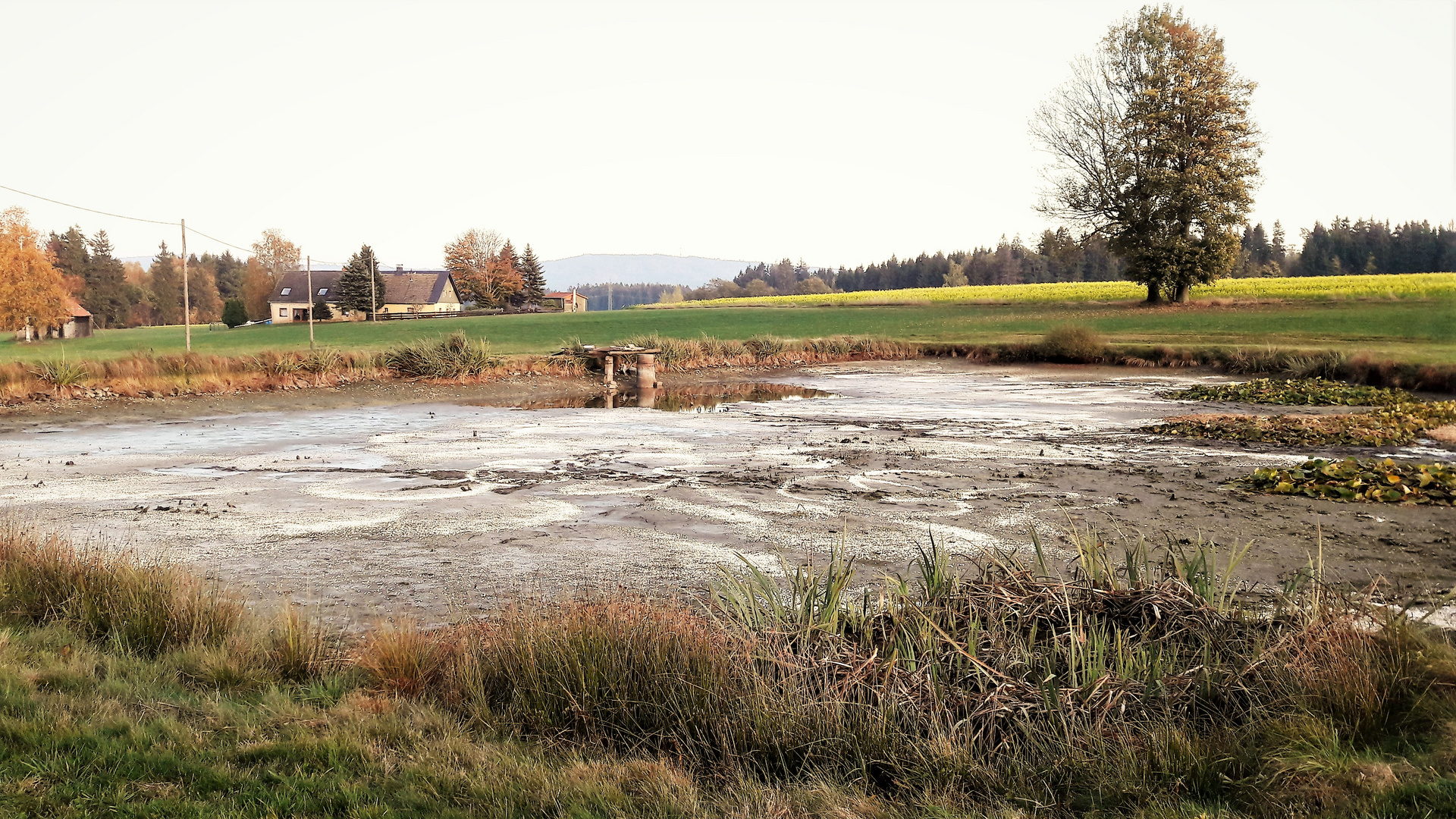 26.10.2019  Fischernte mit getrübtem Blick zum Fichtelgebirge