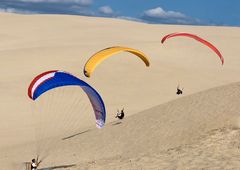 2650  sur la dune du pilat