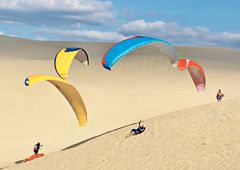 2670....Papillons de dune