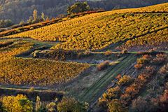 2684....automne dans l'auxerrois