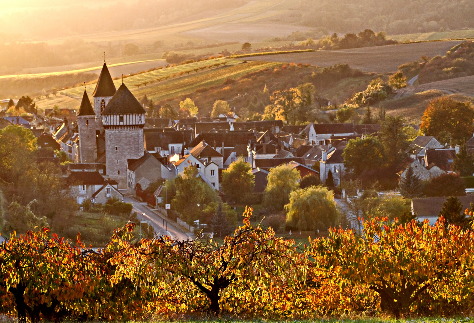 2685 .... dans l'auxerrois