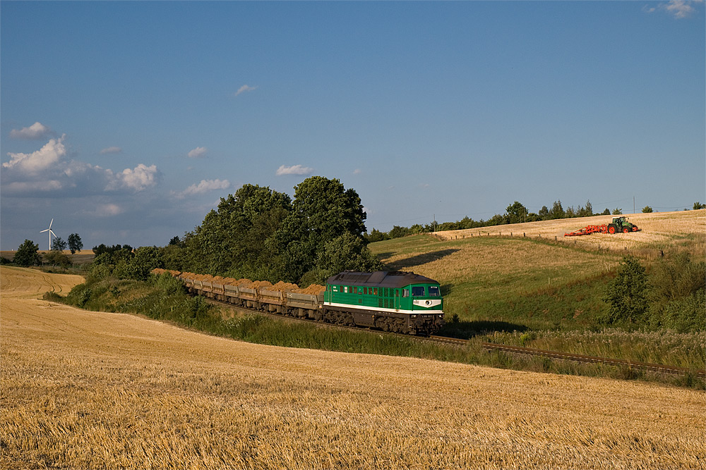 2690 Pferde im Abendlicht