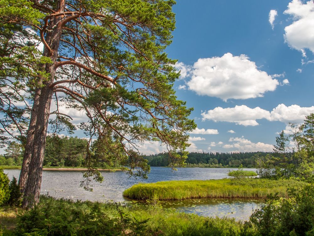 Rolstorpasjön von Fotobirne