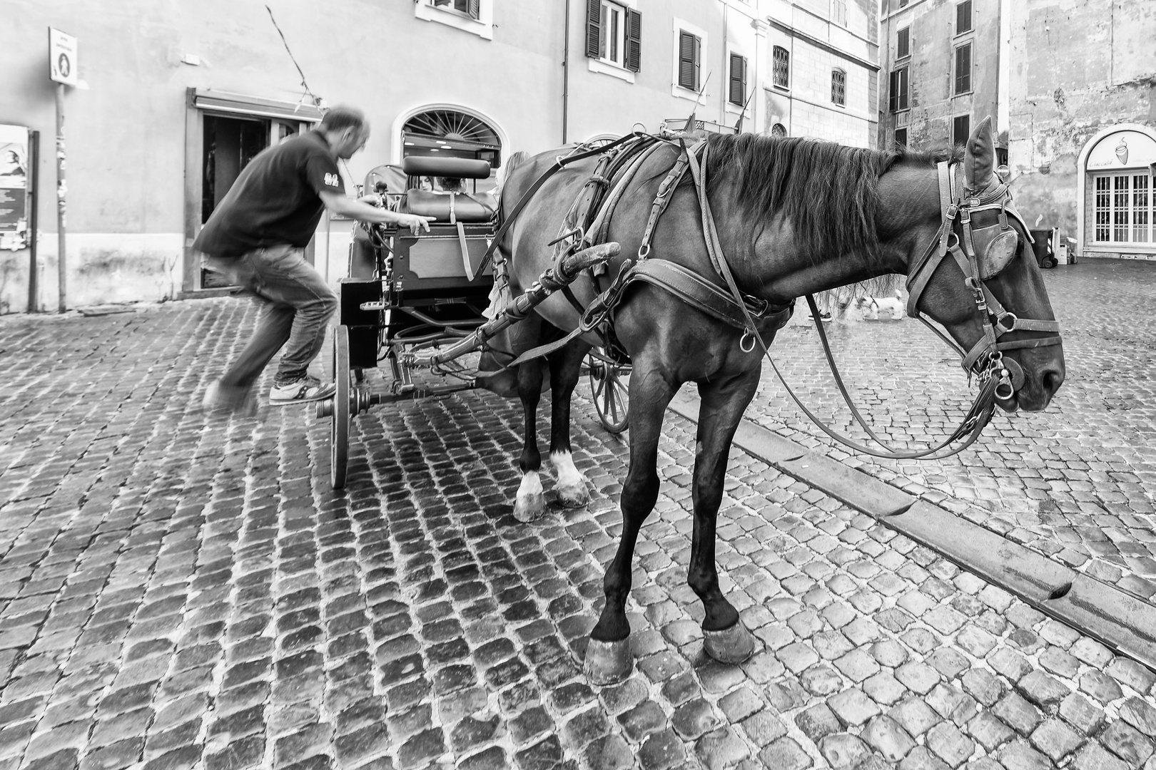 27 Carrozza