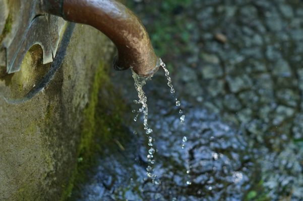 27. Fest 50mm - 02.06.2017