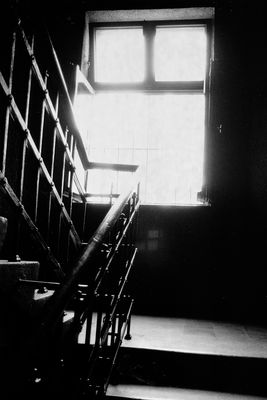 27 gennaio - giorno della memoria # 4