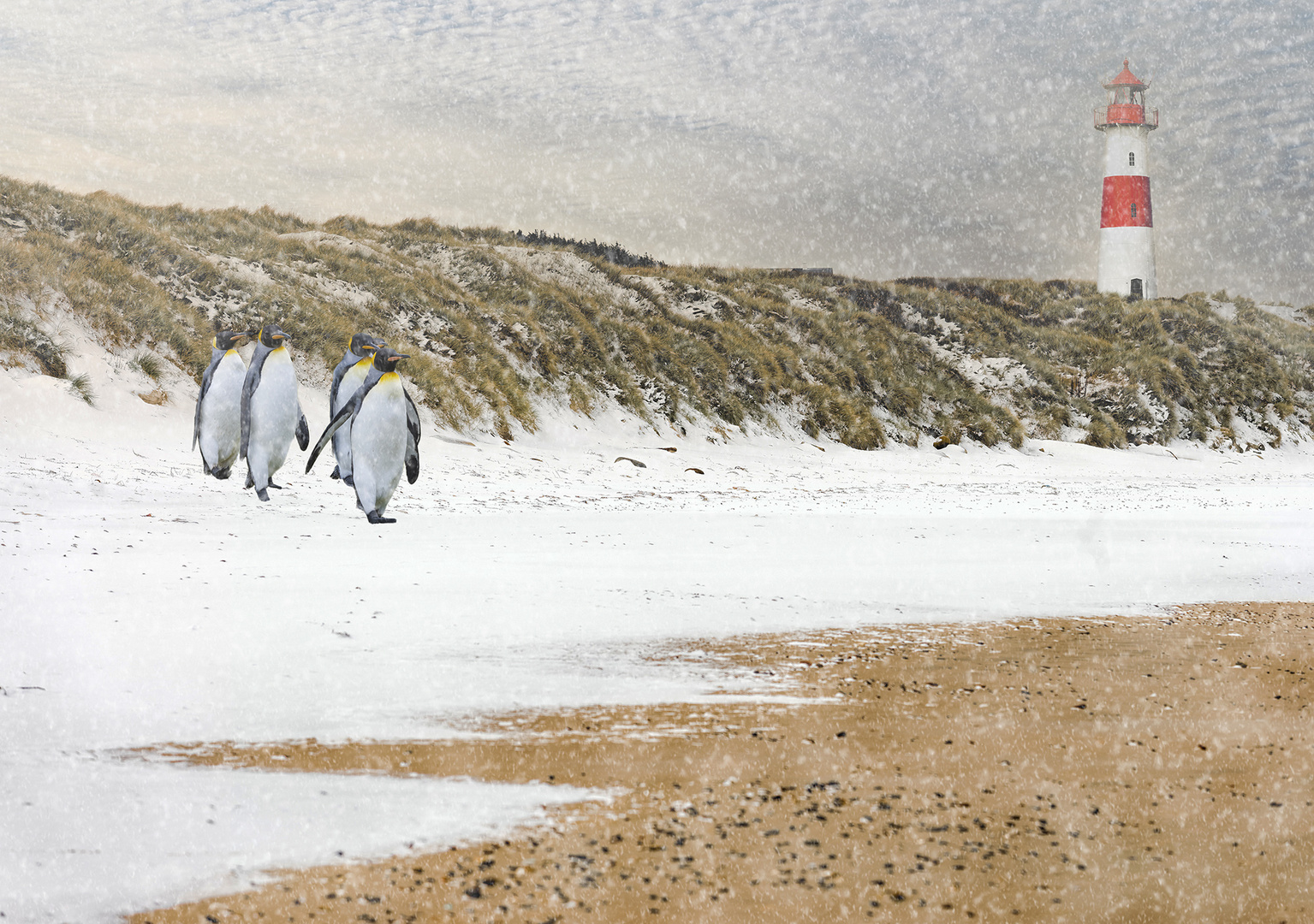 2700Q Leuchtturm am Strand von Sylt Winter Schnee Pinguine