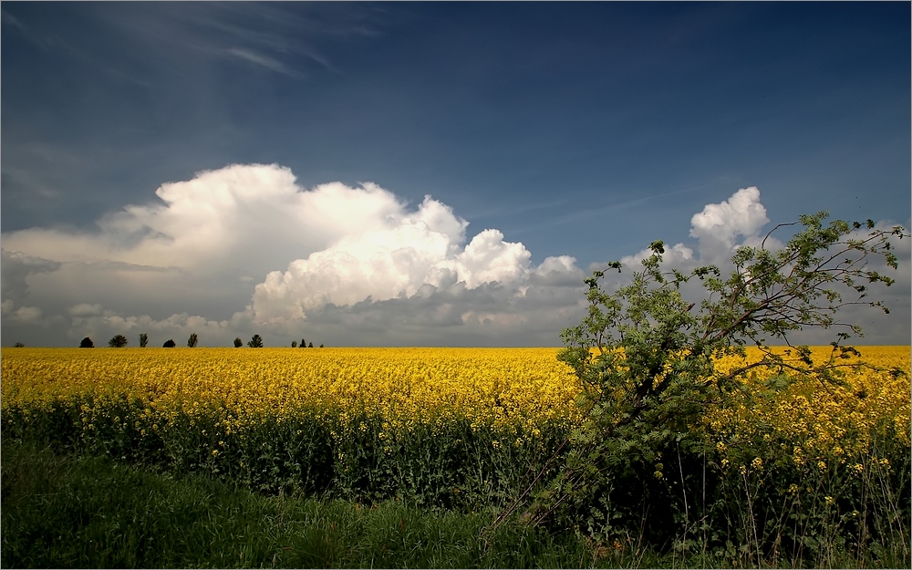 27.04.14_ Gewitterstimmung