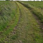 27.06.2020 Barfußweg nach der Kurve 