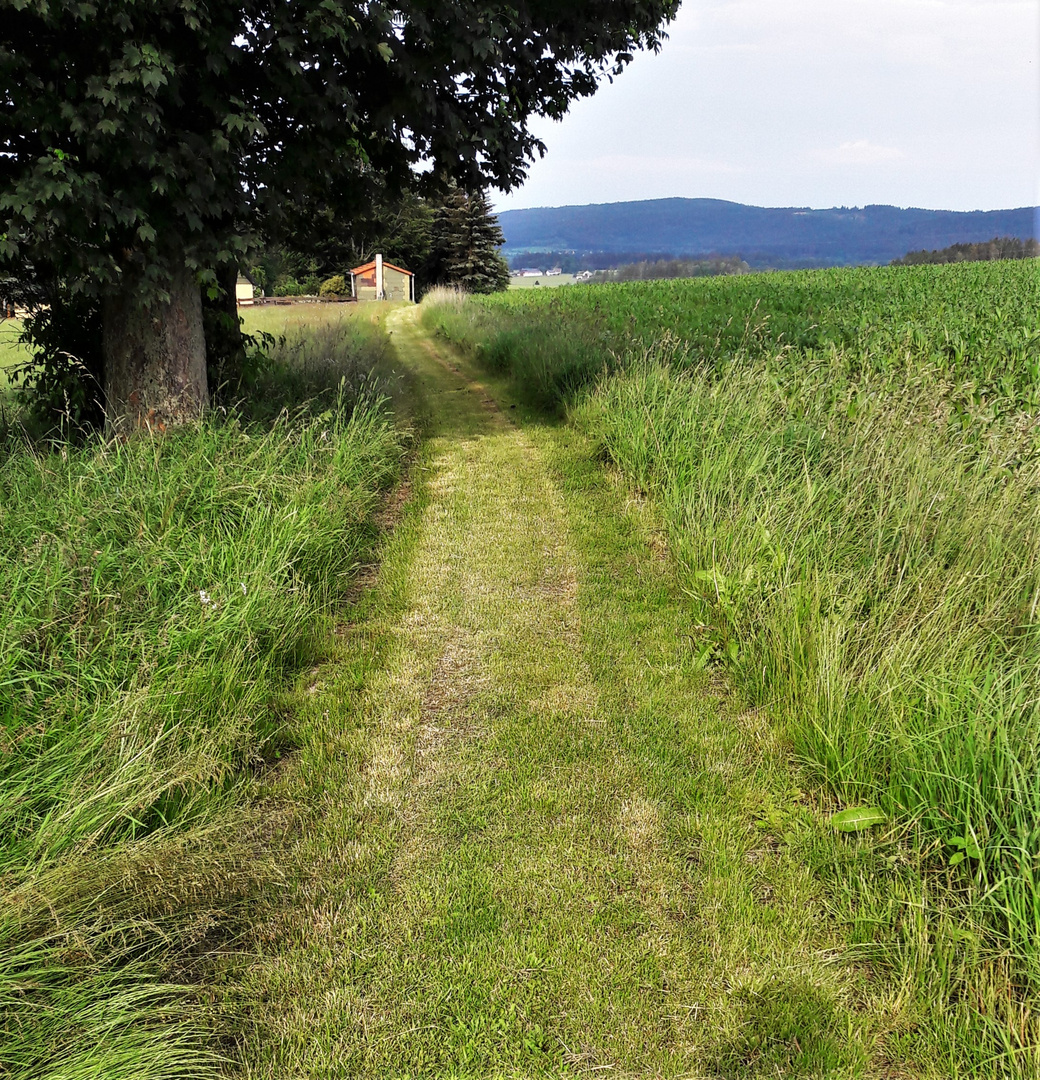 27.06.2020 Barfußweg zur Nachbarin