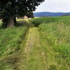 27.06.2020 Barfußweg zur Nachbarin