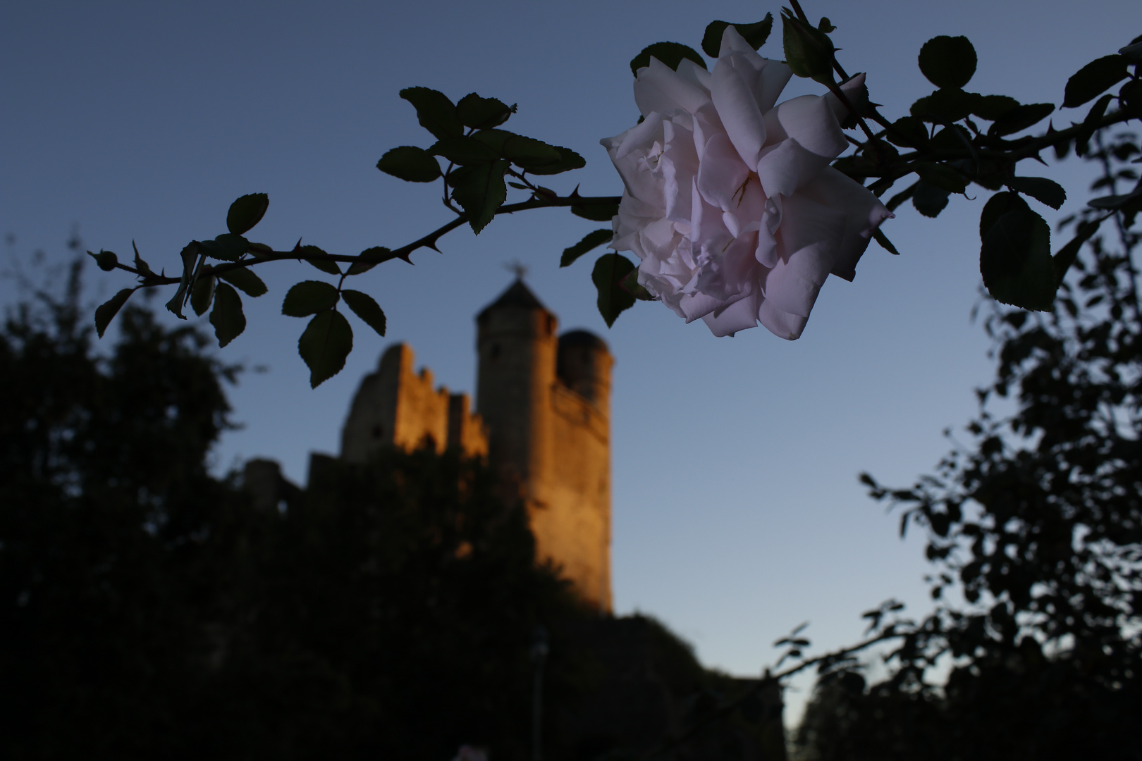 27.09.18 Burg Greifenstein Burggreifenstein (71)