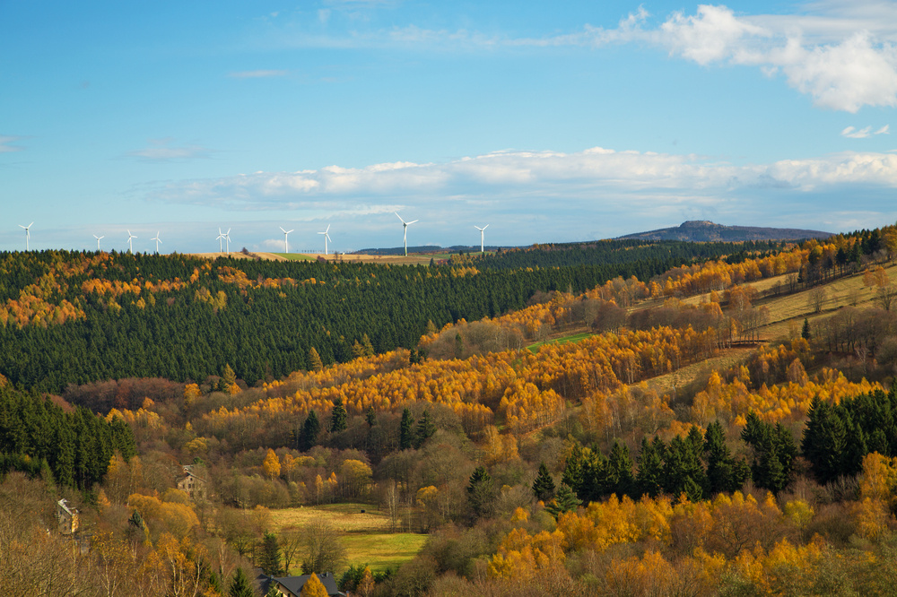 ***27.10.13 Die letzten bunten Wälder***