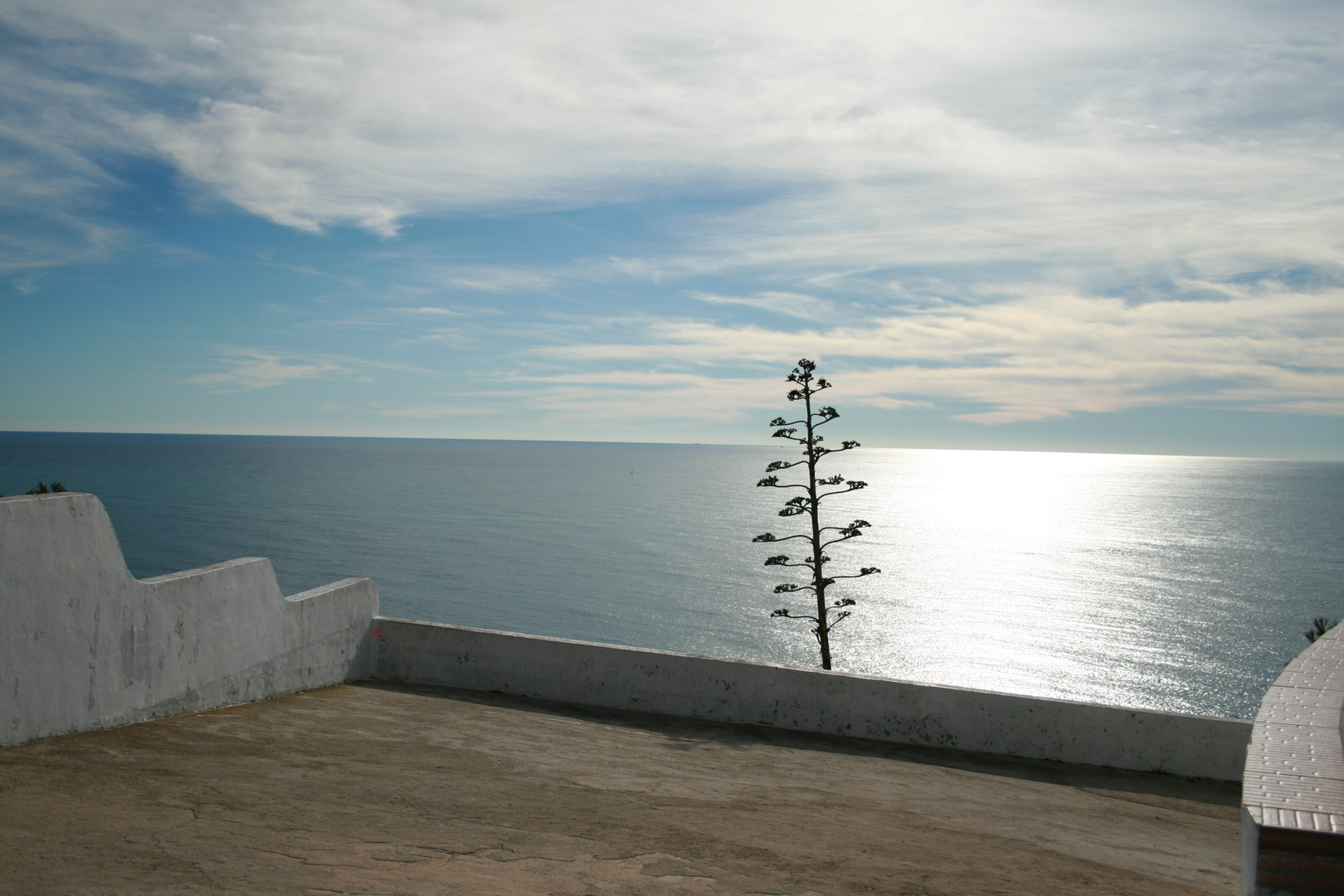 27.12.2009 in Javea...