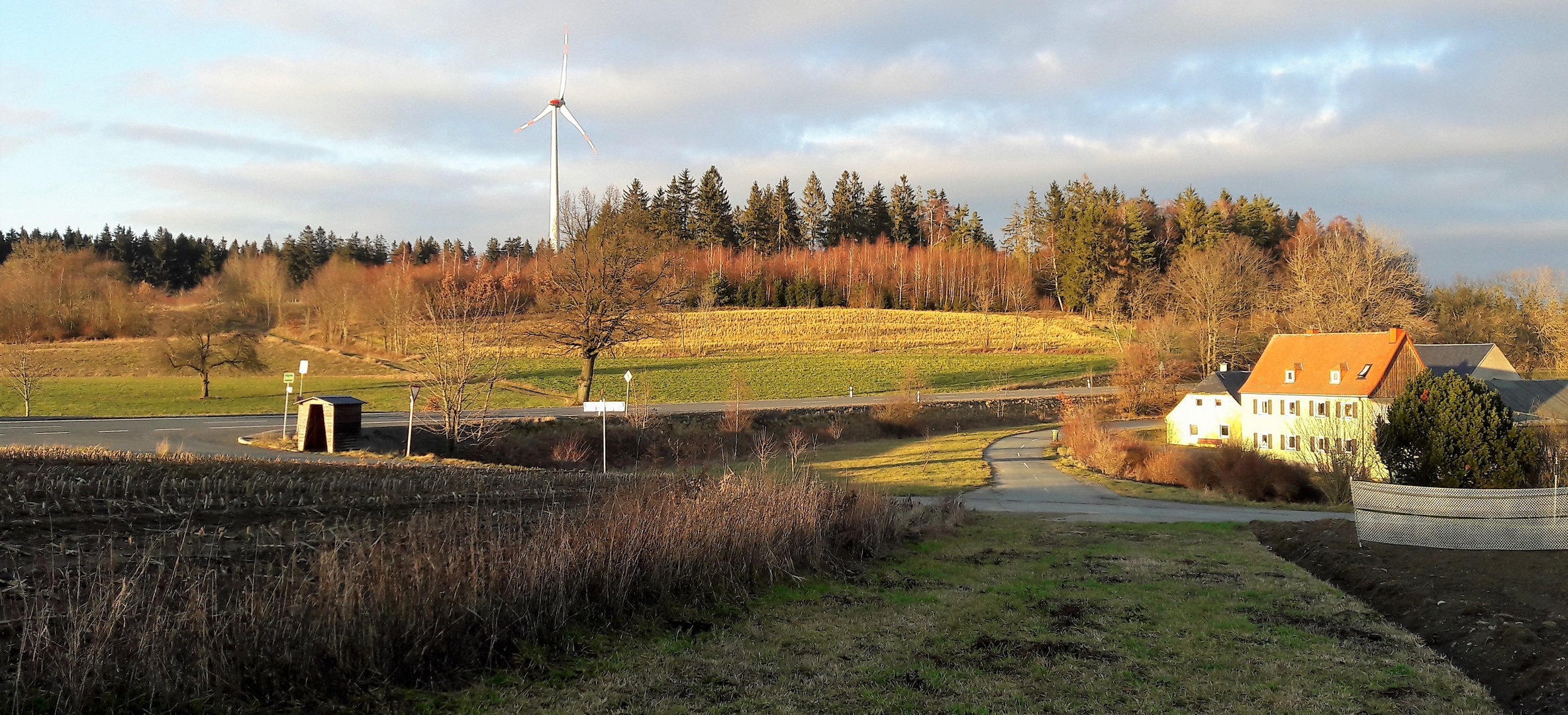 27.12.2019  Blick zur Ökoausgleichsfläche 