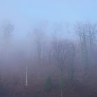 27.1.24 Der Nebel verzieht sich...