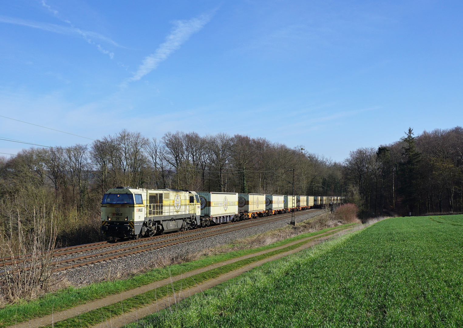 272 202 --WLE 21-- am 20.03.19 bei Bad Münder