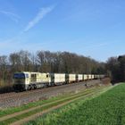 272 202 --WLE 21-- am 20.03.19 bei Bad Münder