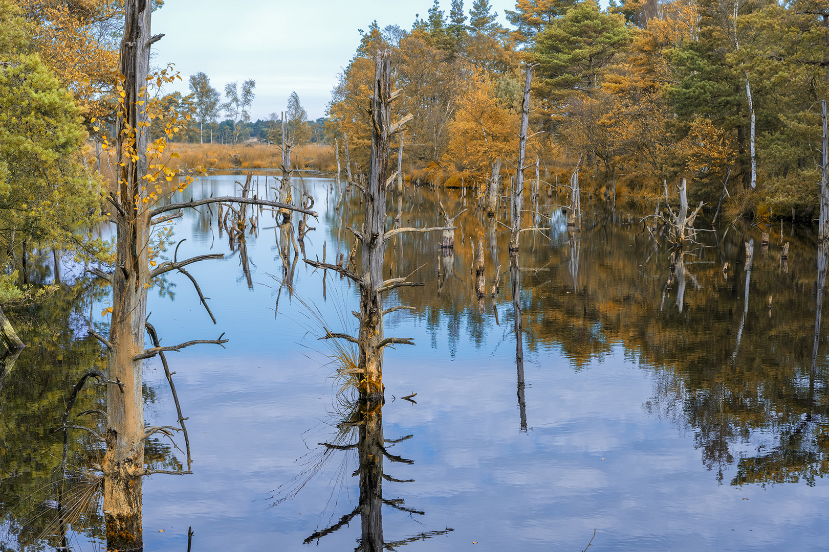 2724TZ Pietzmoor Herbst