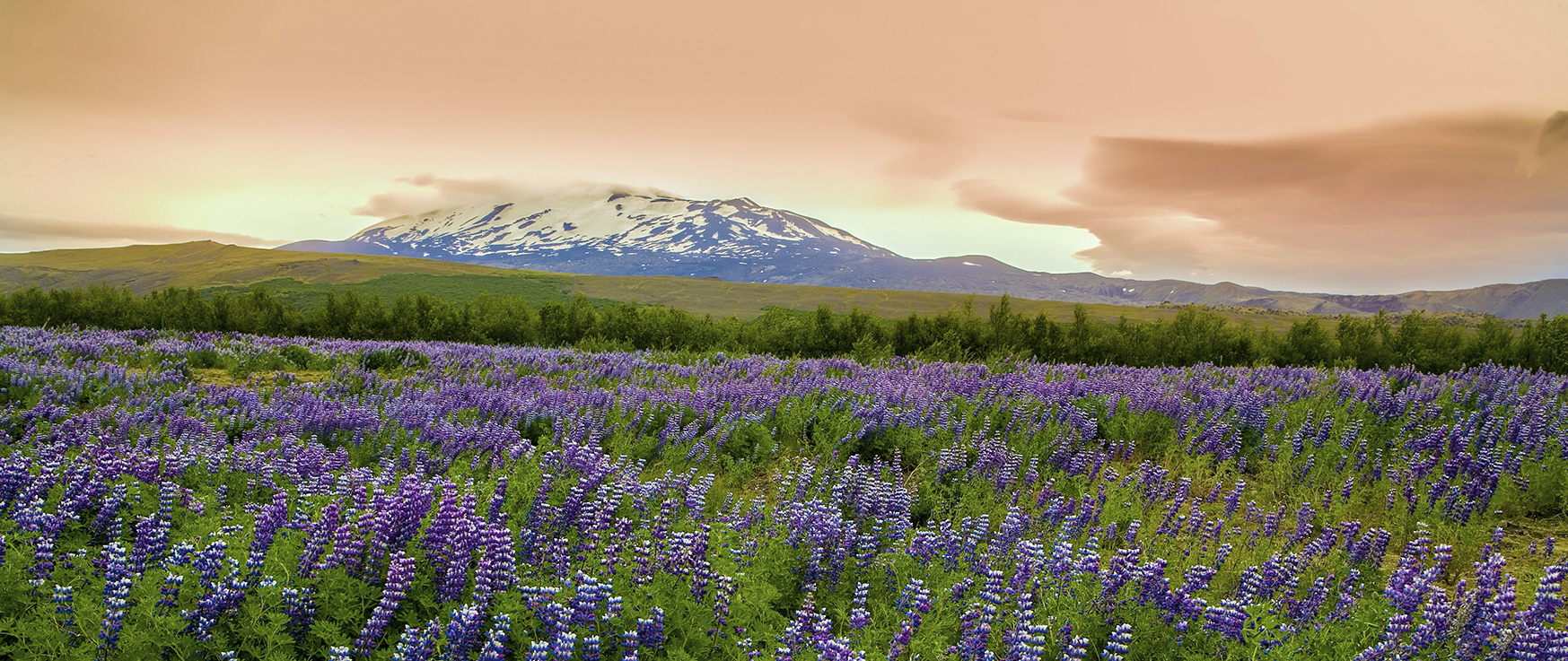 2777B Hekla Island Panorama