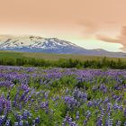 2777B Hekla Island Panorama