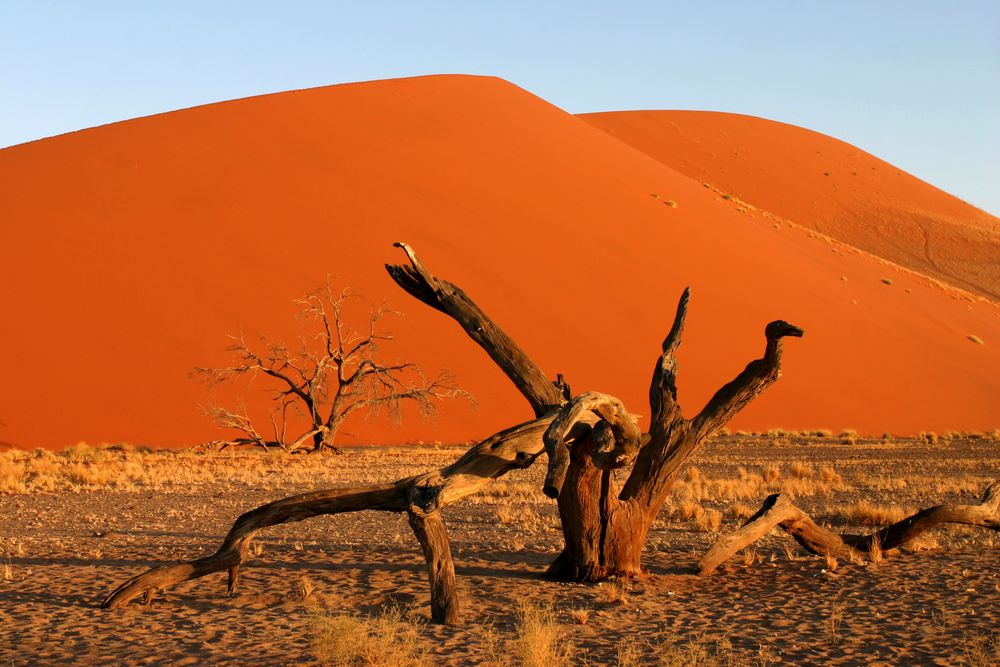 Namibia Wüste von Bernhard Krempl