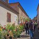 March aux fleurs dans le village de Blaziert