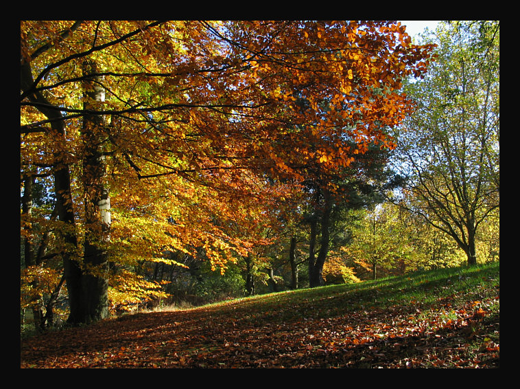 28. Oktober am Jägersburger Weiher