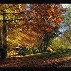 28. Oktober am Jägersburger Weiher