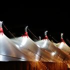 28. Stuttgarter Weltweihnachtscircus 2022